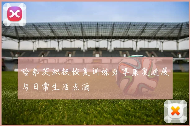哈弗茨积极恢复训练分享康复进展与日常生活点滴