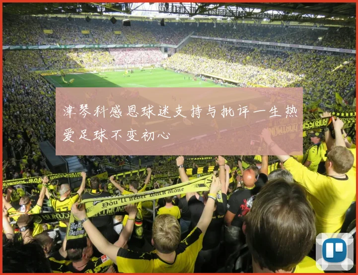 津琴科感恩球迷支持与批评一生热爱足球不变初心